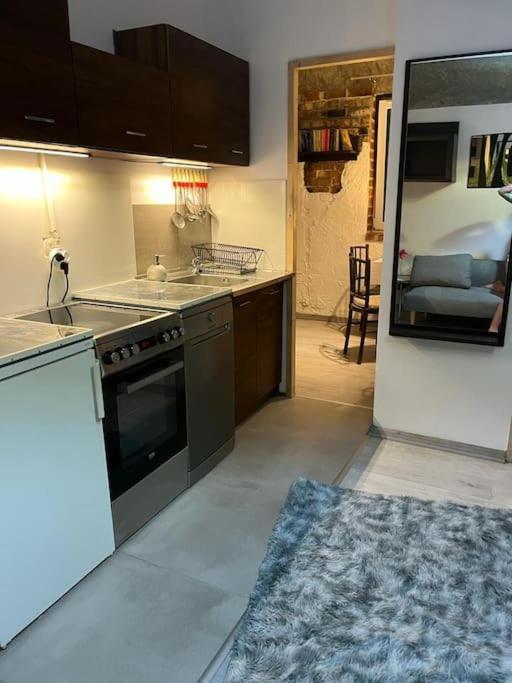 Gornicza Apartment *